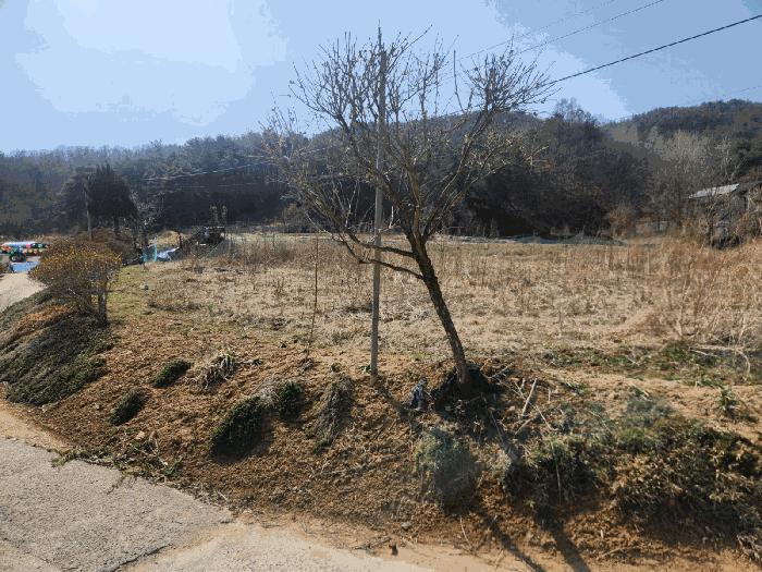 충청남도 금산군 남일면 신정리 619 전 경매 사진 1