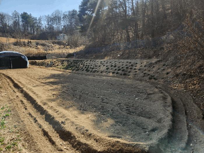 충청남도 금산군 남일면 신정리 619 전 경매 사진 2