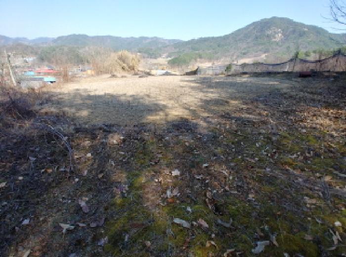 충청남도 금산군 남일면 신정리 619 전 경매 사진 28