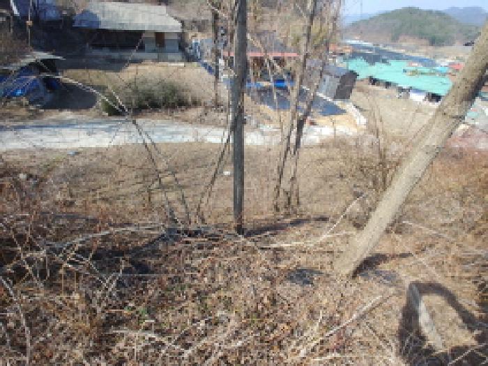 충청남도 금산군 남일면 신정리 619 전 경매 사진 40