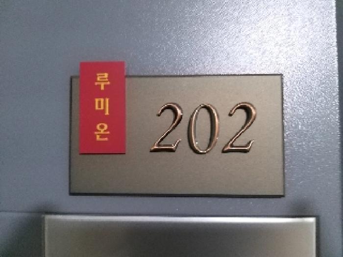 서울특별시 강서구 염창동 261-16 루미온 제101동 제2층 제202호 오피스텔 경매 사진 9