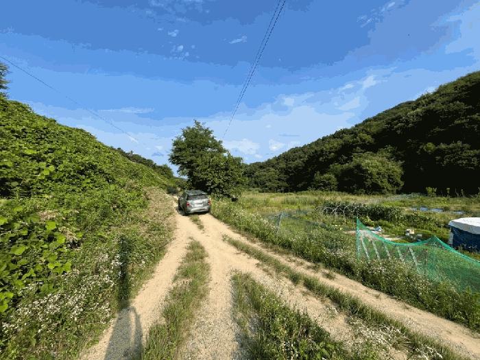 세종특별자치시 조치원읍 봉산리 239 답 경매 사진 2
