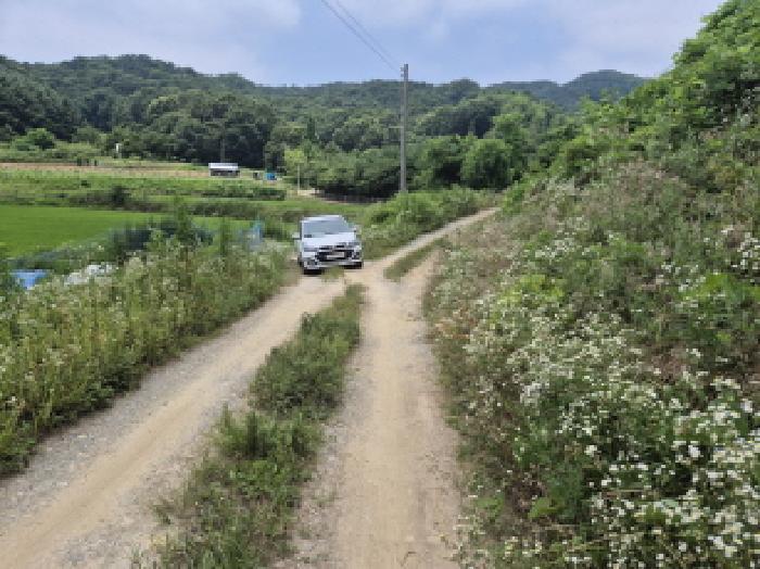 세종특별자치시 조치원읍 봉산리 239 답 경매 사진 8