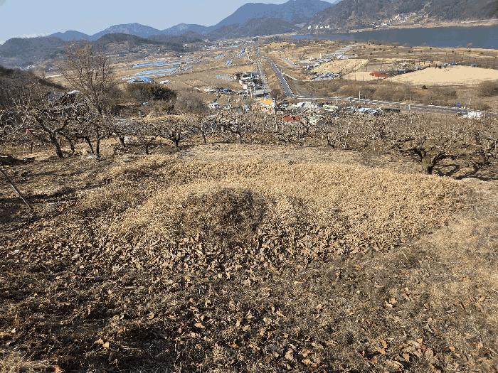 경상남도 창원시 의창구 북면 하천리 산21 전 경매 사진 7