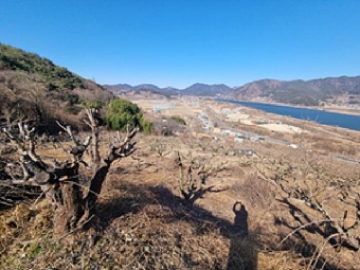 경상남도 창원시 의창구 북면 하천리 131 전 경매 사진 14
