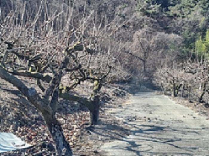 경상남도 창원시 의창구 북면 하천리 131 전 경매 사진 16