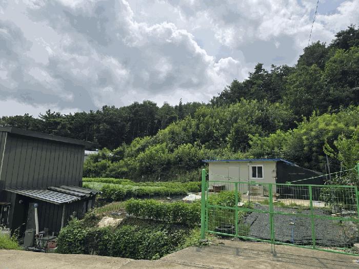 경상북도 고령군 개진면 부리 284 전 경매 사진 5