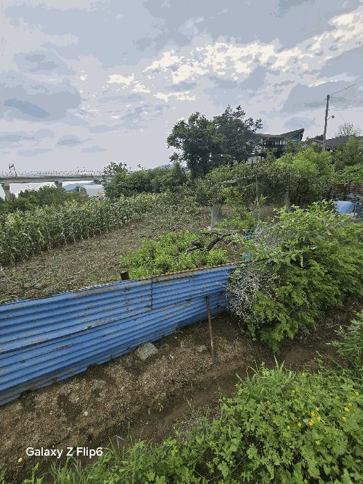 경상남도 김해시 진례면 산본리 852 답 경매 사진 7