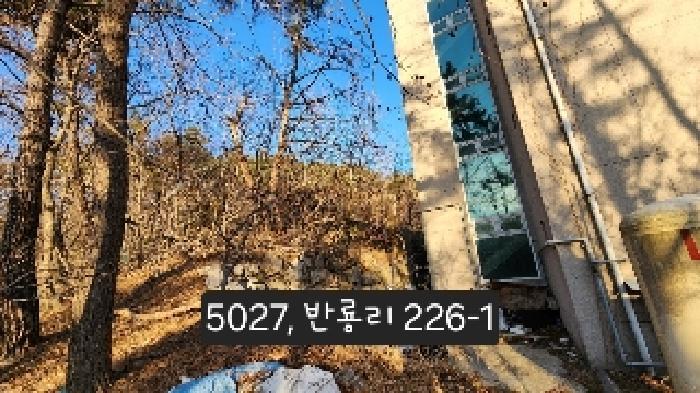 부산광역시 기장군 장안읍 반룡리 226-1 임야 경매 사진 12