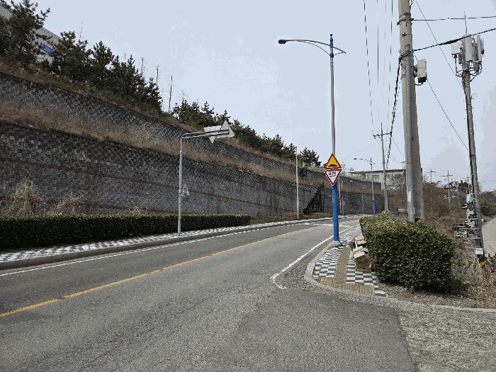 부산광역시 기장군 장안읍 반룡리 226-1 임야 경매 사진 4