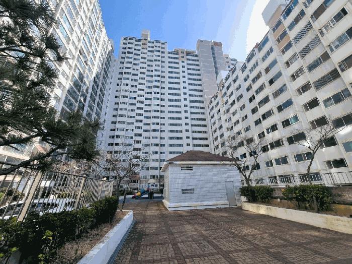 부산 남구 아파트