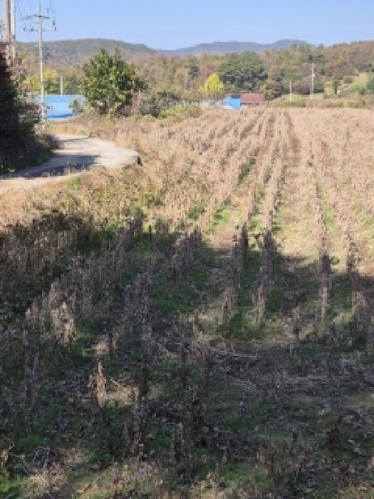 전라남도 화순군 동복면 구암리 692 답 경매 사진 17