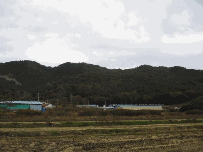 전라남도 화순군 동복면 구암리 692 답 경매 사진 2