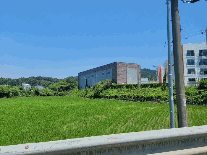 충청남도 천안시 동남구 병천면 탑원리 66-2 근린시설 경매 사진 18