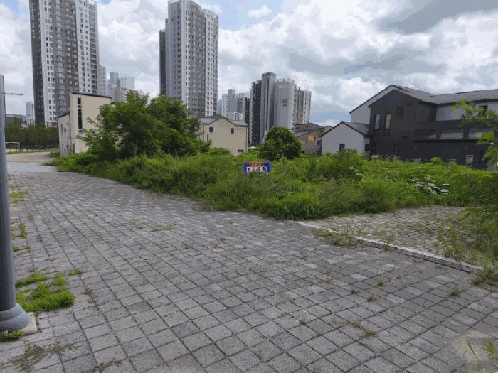 충청남도 천안시 서북구 불당동 1585 대지 경매 사진 3