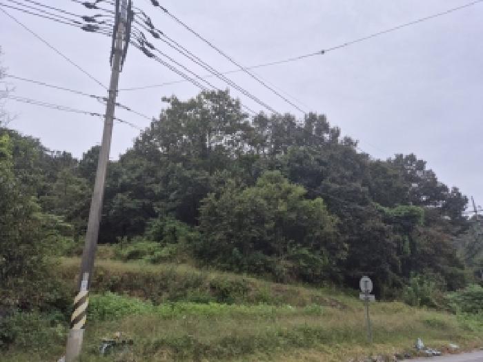 전라남도 나주시 봉황면 옥산리 449 답 경매 사진 58