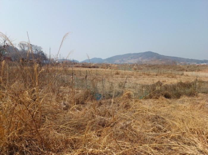 인천광역시 옹진군 북도면 신도리 708-5 답 경매 사진 7