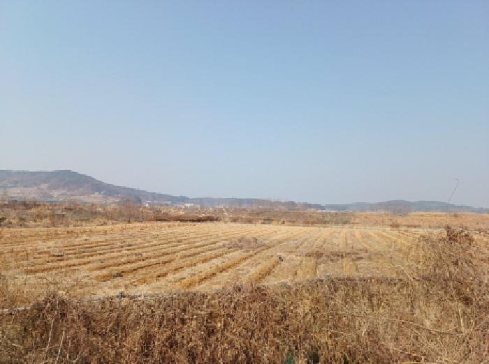 인천광역시 옹진군 북도면 신도리 708-5 답 경매 사진 8