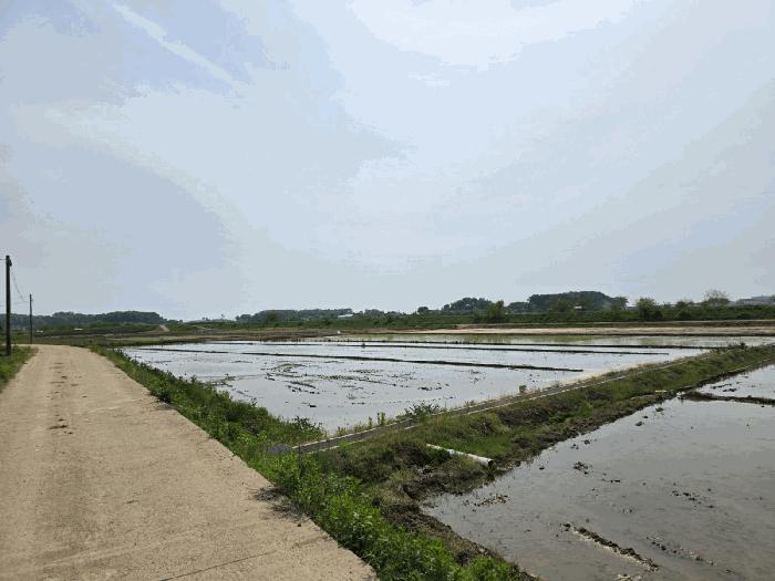 경기도 평택시 현덕면 도대리 295-6 답 경매 사진 1