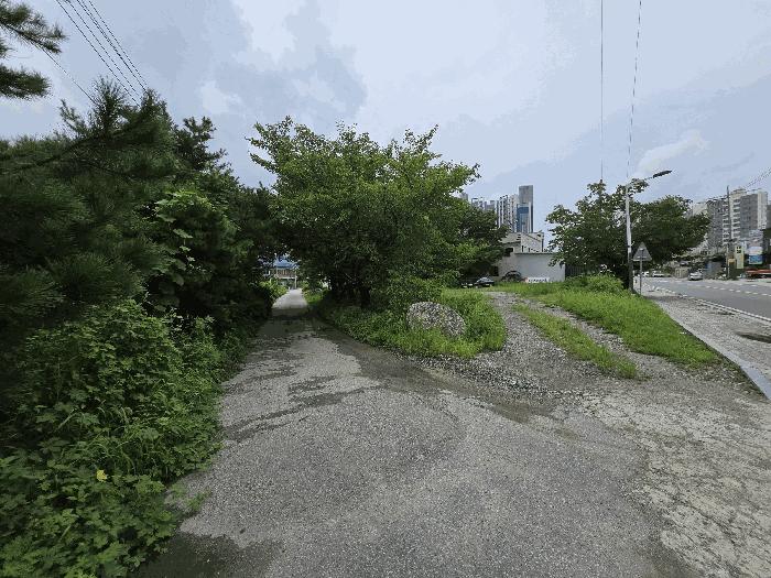 경기도 양평군 강상면 교평리 399-8 대지 경매 사진 2