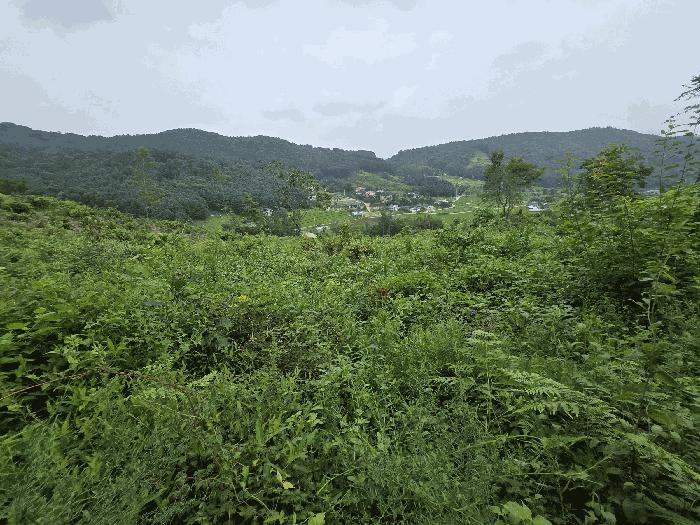 경기도 양평군 강상면 교평리 399-8 대지 경매 사진 5