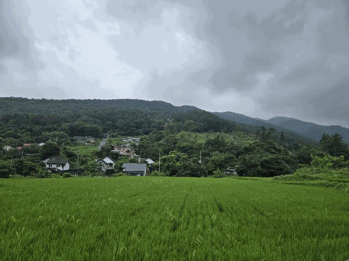 경기도 양평군 강상면 교평리 399-8 대지 경매 사진 6