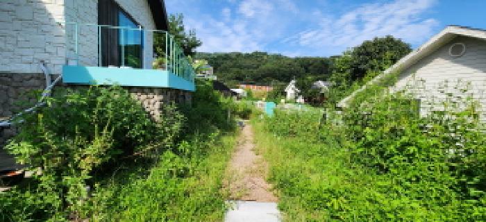 경기도 양주시 장흥면 일영리 66-7 주택 경매 사진 11