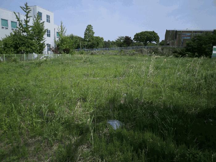 충청남도 천안시 서북구 신당동 441-1 전 경매 사진 1