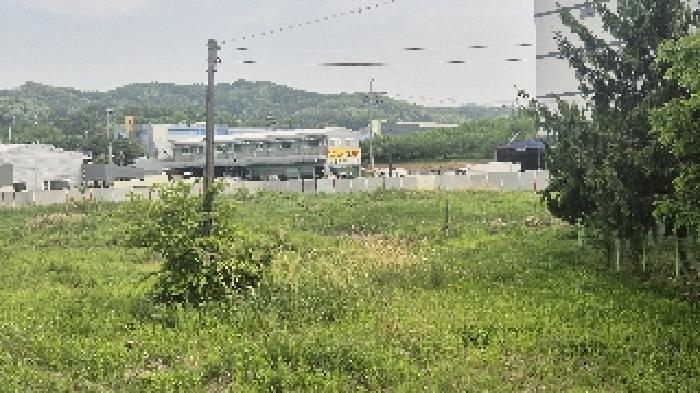 충청남도 천안시 서북구 신당동 441-1 전 경매 사진 18