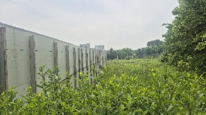 충청남도 천안시 서북구 신당동 441-1 전 경매 사진 25