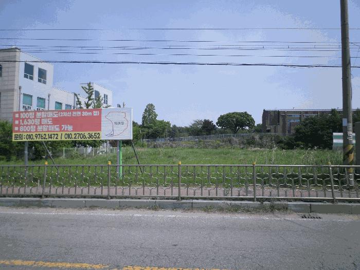 충청남도 천안시 서북구 신당동 441-1 전 경매 사진 4