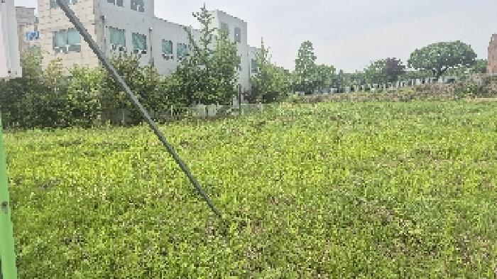 충청남도 천안시 서북구 신당동 441-1 전 경매 사진 8