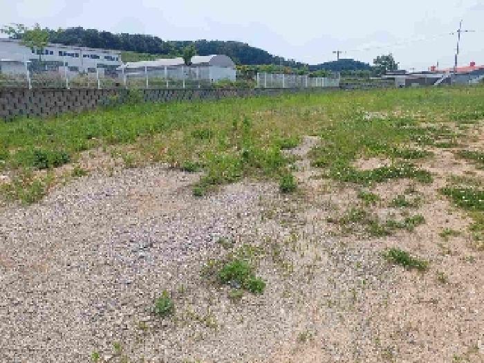 충청남도 천안시 서북구 직산읍 석곡리 139-14 임야 경매 사진 12