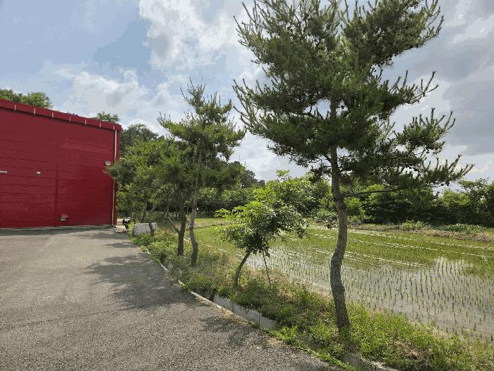 충청남도 천안시 동남구 구성동 144 공장 경매 사진 6