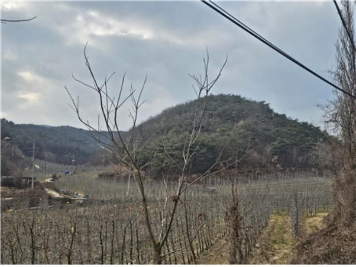 경상북도 청송군 임야