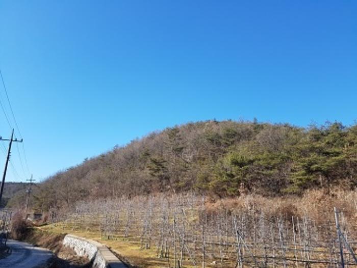 경상북도 청송군 현서면 화목리 산61 임야 경매 사진 10