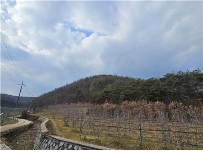 경상북도 청송군 현서면 화목리 산61 임야 경매 사진 2