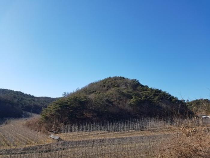 경상북도 청송군 현서면 화목리 산61 임야 경매 사진 5