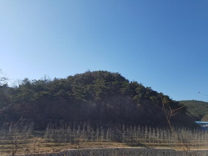 경상북도 청송군 현서면 화목리 산61 임야 경매 사진 6