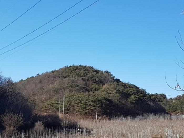 경상북도 청송군 현서면 화목리 산61 임야 경매 사진 7