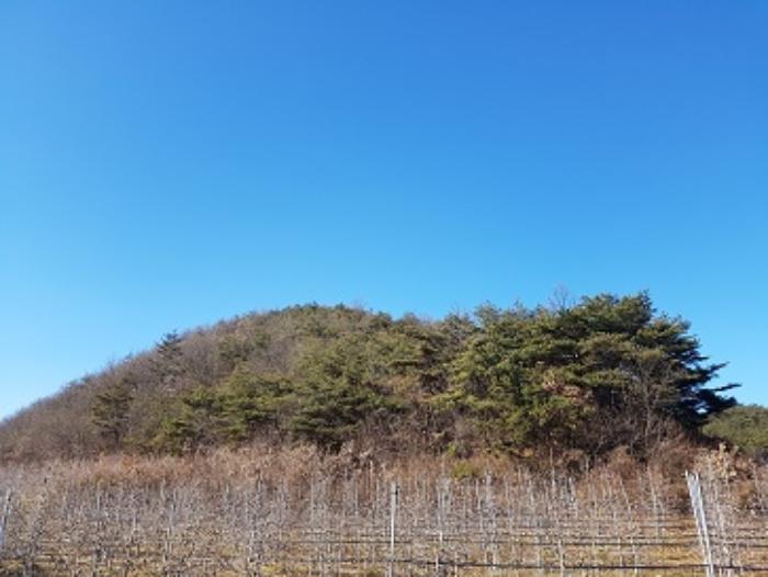 경상북도 청송군 현서면 화목리 산61 임야 경매 사진 8