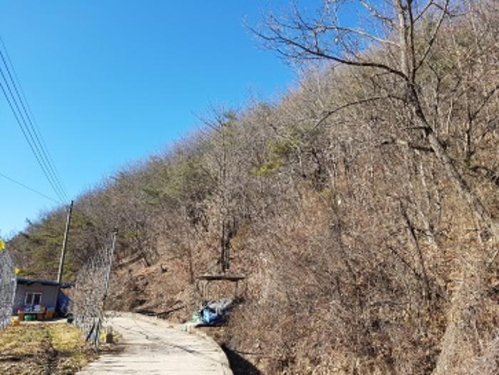 경상북도 청송군 현서면 화목리 산61 임야 경매 사진 9