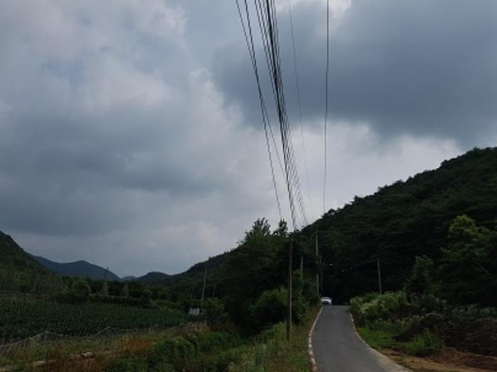 경상북도 의성군 점곡면 사촌리 산7 임야 경매 사진 16