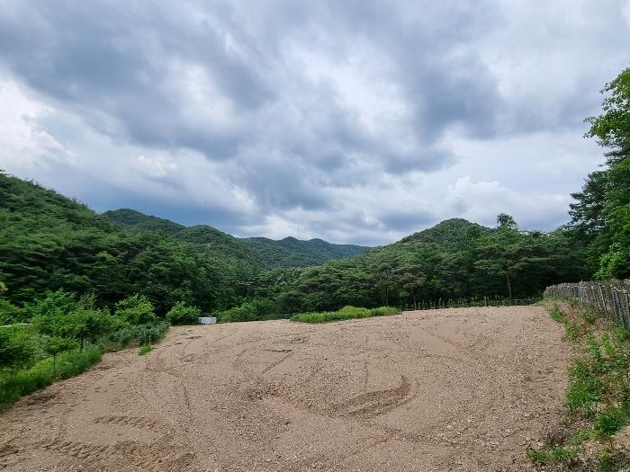 경상북도 의성군 점곡면 사촌리 산27-7 임야 경매 사진 6