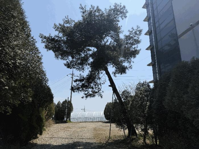충청남도 태안군 남면 당암리 187-1 숙박시설 경매 사진 15