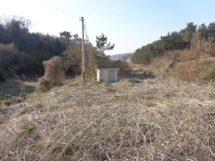충청남도 태안군 남면 당암리 187-1 숙박시설 경매 사진 48