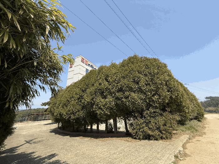 충청남도 태안군 남면 당암리 187-1 숙박시설 경매 사진 7