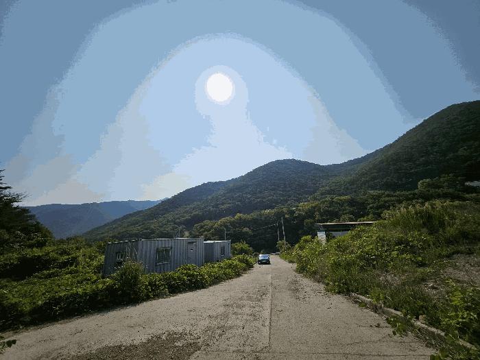 경상남도 김해시 상동면 여차리 1037-27 임야 경매 사진 3