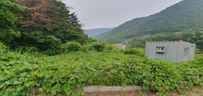 경상남도 김해시 상동면 여차리 1037-27 임야 경매 사진 8