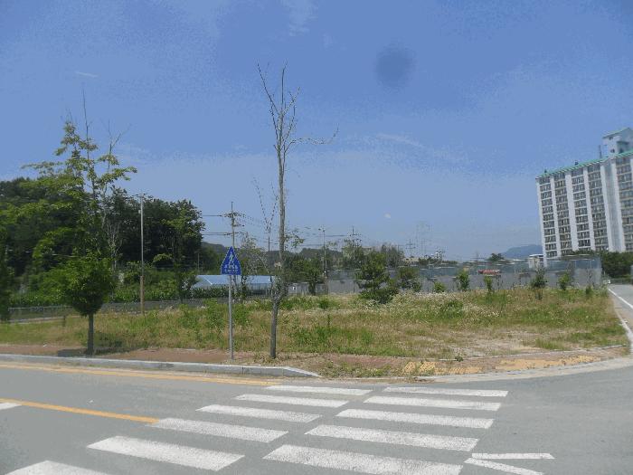 경상남도 창원시 의창구 동읍 신방리 921-8 대지 경매 사진 1